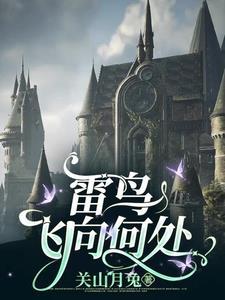 雷鸟飞机