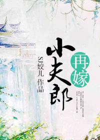 再嫁前夫在线阅读
